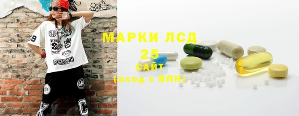 индика Осташков