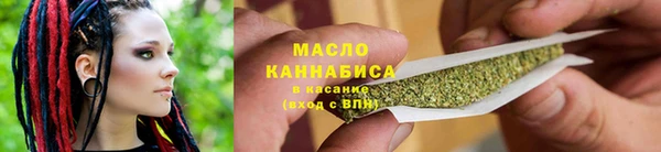 индика Осташков