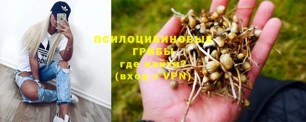 мескалин Болхов