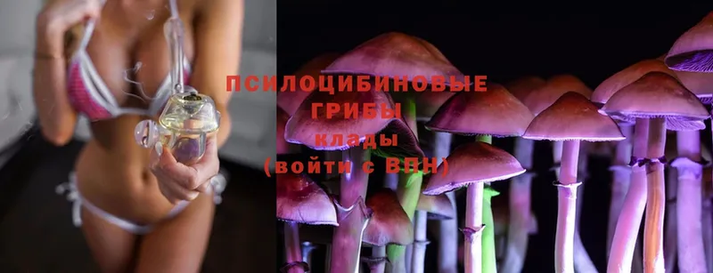 Галлюциногенные грибы Cubensis  Коммунар 