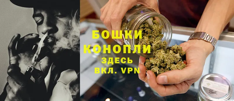 Бошки Шишки SATIVA & INDICA  Коммунар 